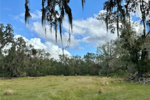 Terrain à vendre à Wauchula, Floride № 1559471 - photo 5