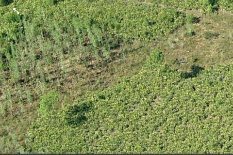 Land in Orlando, Florida № 2163558 - photo 3