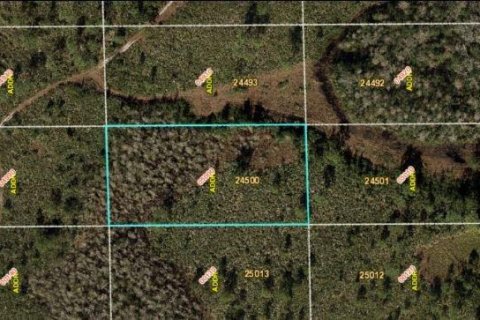 Land in Orlando, Florida № 2163558 - photo 2