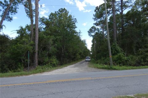Land in Pierson, Florida № 1866555 - photo 9
