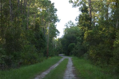 Land in Pierson, Florida № 1866555 - photo 7