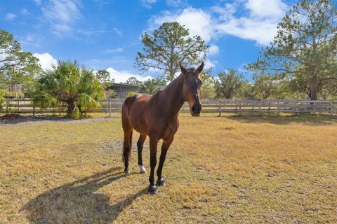 Casa en venta en Geneva, Florida, 1 dormitorio, 285.3 m2 № 1559978 - foto 16