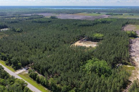 Terrain à vendre à Bunnell, Floride № 2214686 - photo 28