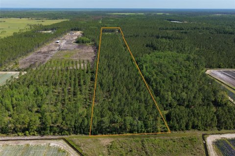 Terrain à vendre à Bunnell, Floride № 2214686 - photo 20