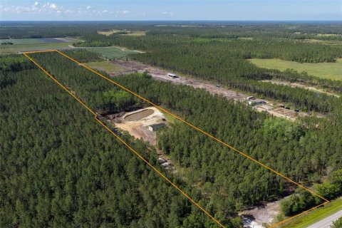 Terrain à Bunnell, Floride № 2214686