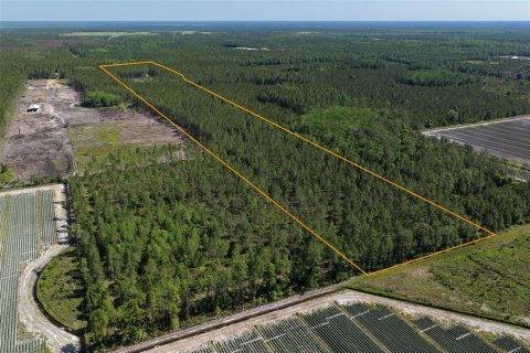 Terrain à vendre à Bunnell, Floride № 2214686 - photo 27