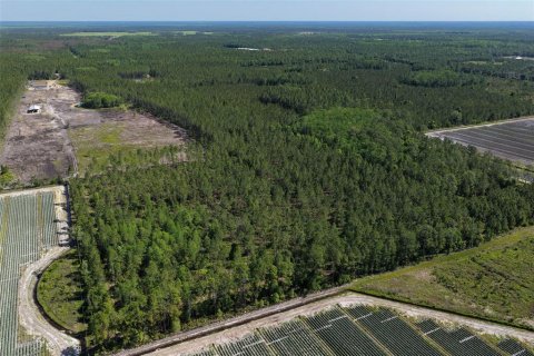 Terrain à vendre à Bunnell, Floride № 2214686 - photo 26