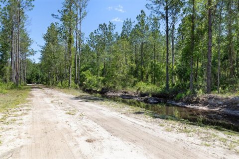Terrain à vendre à Bunnell, Floride № 2214686 - photo 3