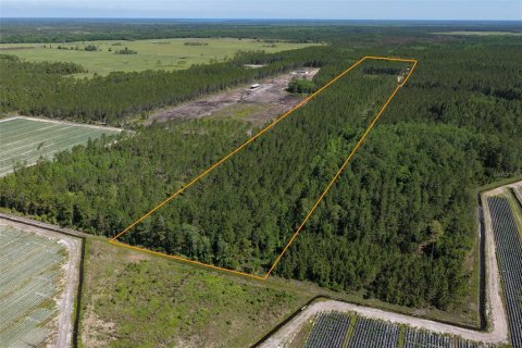 Terrain à vendre à Bunnell, Floride № 2214686 - photo 2