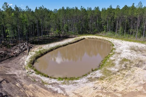 Terrain à vendre à Bunnell, Floride № 2214686 - photo 4