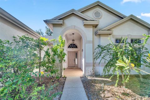 Villa ou maison à vendre à Tampa, Floride: 4 chambres, 278.8 m2 № 2319019 - photo 3