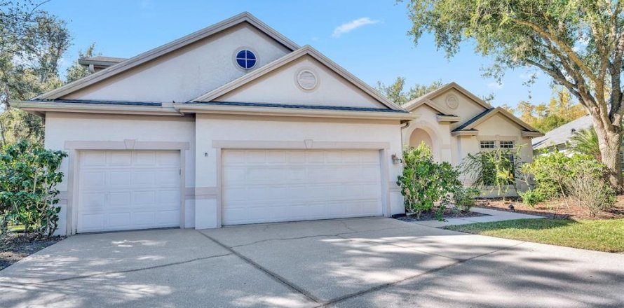 Villa ou maison à Tampa, Floride 4 chambres, 278.8 m2 № 2319019