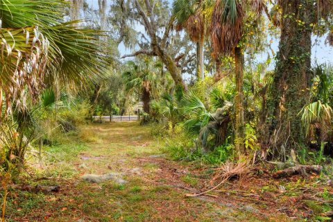 Terreno en venta en Fish Hawk, Florida № 1823133 - foto 9