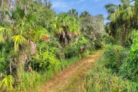 Terreno en venta en Fish Hawk, Florida № 1823133 - foto 3