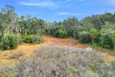 Terreno en venta en Fish Hawk, Florida № 1823133 - foto 11