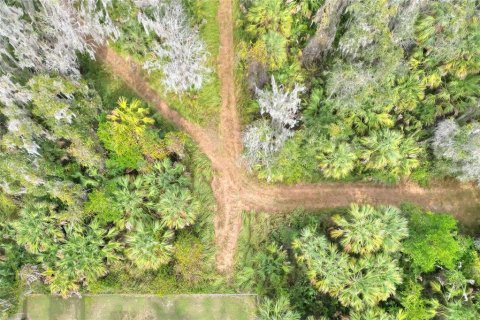 Terreno en venta en Fish Hawk, Florida № 1823133 - foto 2