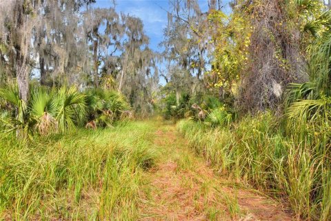 Terreno en venta en Fish Hawk, Florida № 1823133 - foto 7