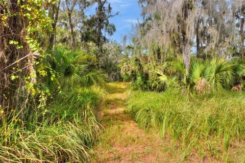 Terreno en venta en Fish Hawk, Florida № 1823133 - foto 6