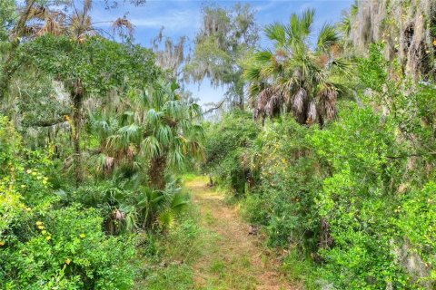 Terreno en venta en Fish Hawk, Florida № 1823133 - foto 4