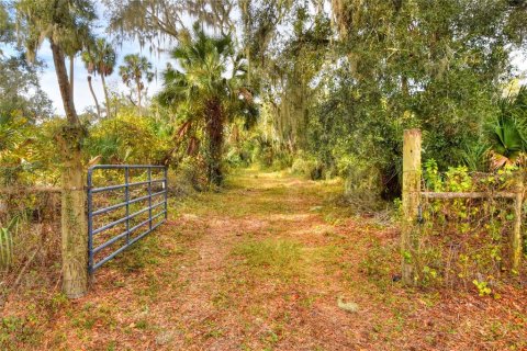 Terreno en venta en Fish Hawk, Florida № 1823133 - foto 1