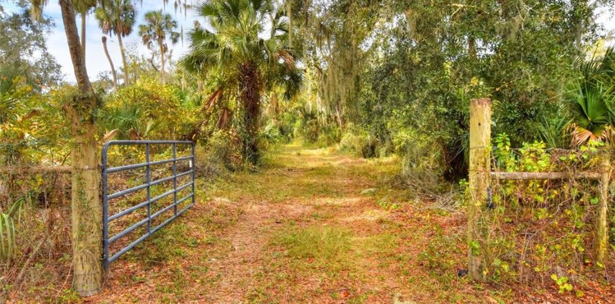 Terreno en Fish Hawk, Florida № 1823133