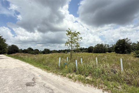 Land in Wesley Chapel, Florida № 1771652 - photo 11