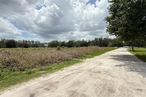 Land in Wesley Chapel, Florida № 1771652 - photo 5