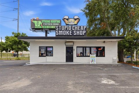 Commercial property in Tampa, Florida 353.96 sq.m. № 2096017 - photo 9