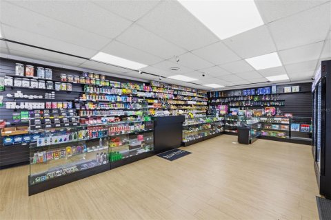 Commercial property in Tampa, Florida 353.96 sq.m. № 2096017 - photo 10
