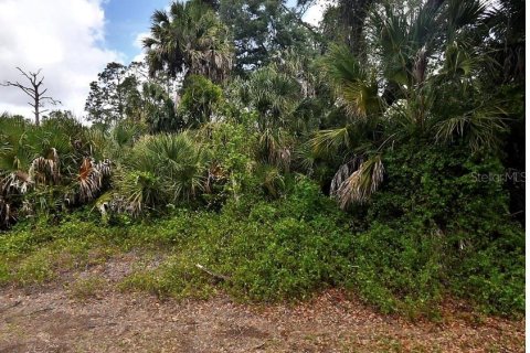 Terrain à vendre à North Port, Floride № 2167779 - photo 2