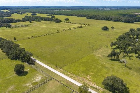 Terrain à Morriston, Floride № 2398624