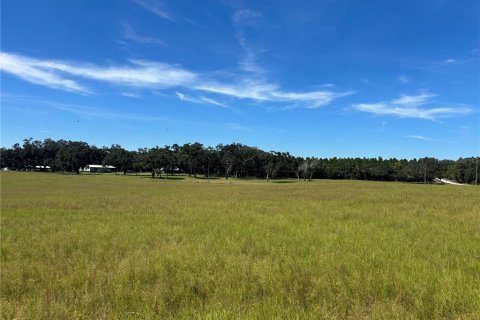 Terrain à vendre à Morriston, Floride № 2398624 - photo 26