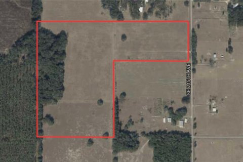 Terrain à vendre à Morriston, Floride № 2398624 - photo 23