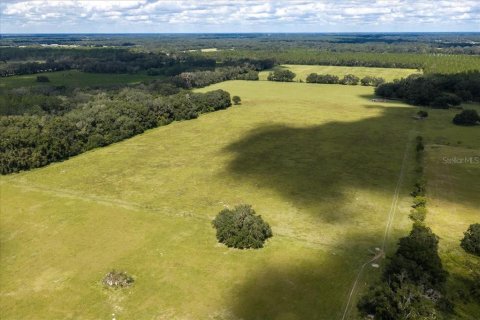 Terrain à vendre à Morriston, Floride № 2398624 - photo 6