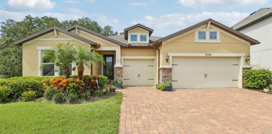 House in Tampa, Florida 4 bedrooms, 240.34 sq.m. № 1816551