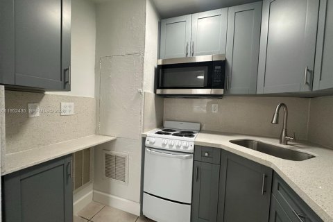 Casa en alquiler en Miami, Florida, 1 dormitorio, 230.3 m2 № 2006669 - foto 11