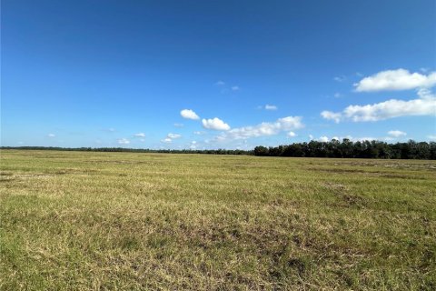Terreno en venta en Citra, Florida № 1822734 - foto 6