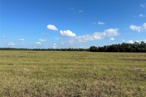 Terreno en venta en Citra, Florida № 1822734 - foto 5