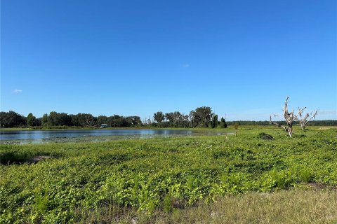 Terreno en venta en Citra, Florida № 1822734 - foto 4