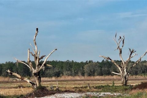 Terreno en venta en Citra, Florida № 1822734 - foto 2