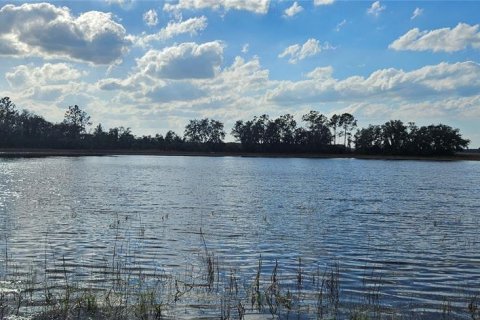 Terreno en venta en Citra, Florida № 1822734 - foto 3
