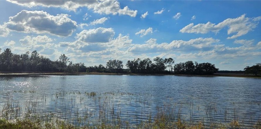 Terreno en Citra, Florida № 1822734