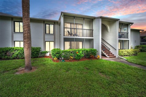 Condo in Palm Harbor, Florida, 1 bedroom  № 1919168 - photo 1