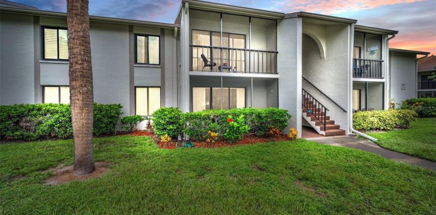 Condo à Palm Harbor, Floride, 1 chambre № 1919168
