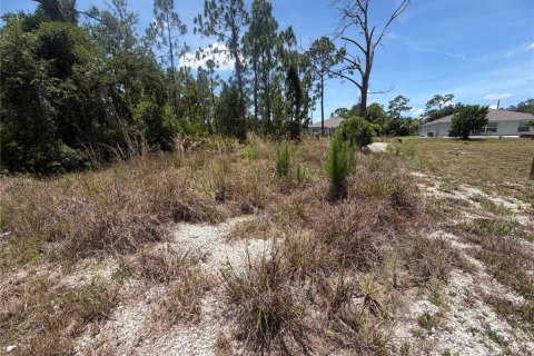 Land in Port Charlotte, Florida № 2162546 - photo 2
