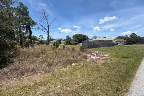 Land in Port Charlotte, Florida № 2162546 - photo 3
