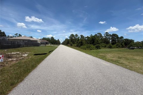 Land in Port Charlotte, Florida № 2162546 - photo 4