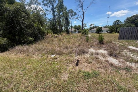Land in Port Charlotte, Florida № 2162546