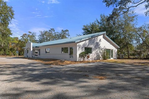 Immobilier commercial à vendre à Inverness, Floride: 297.29 m2 № 1531387 - photo 2