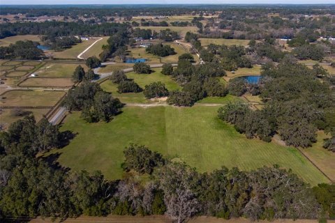 Land in Ocala, Florida № 1525957 - photo 4